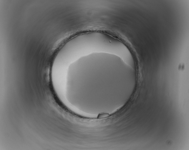 X0000110920019200907091508