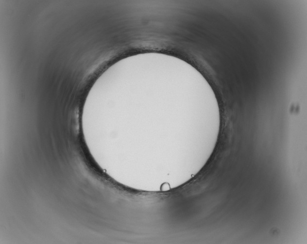 X0000110920020200907091508