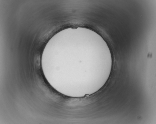 X0000110920021200907091508