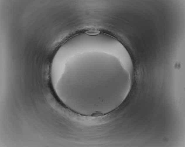 X0000110920023200907091508