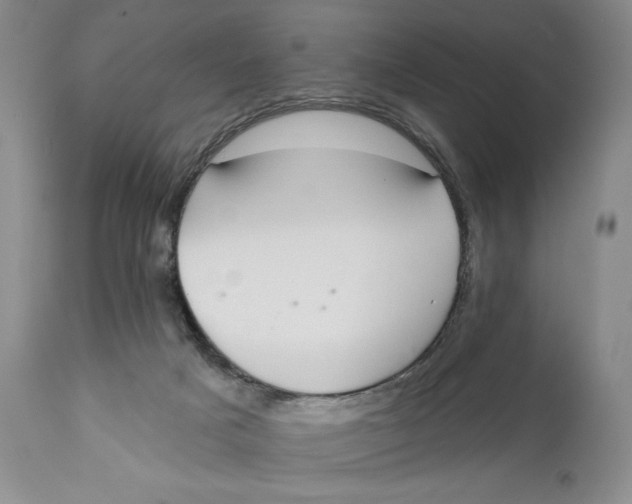 X0000110920025200907091508