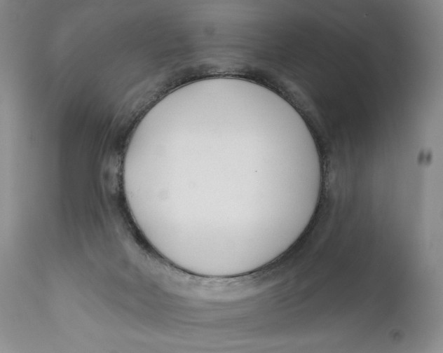 X0000110920026200907091508