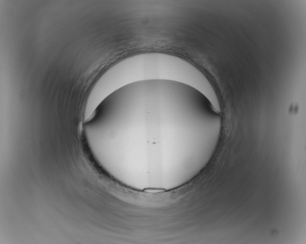 X0000110920027200907091508