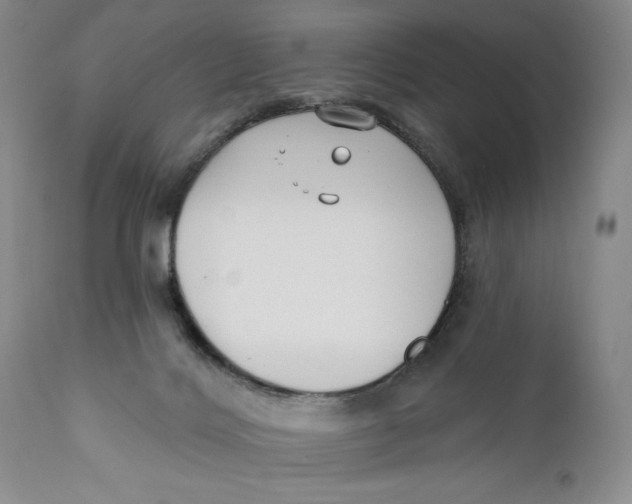 X0000110920028200907091508