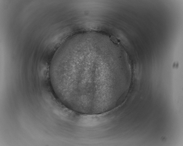 X0000110920029200907091508