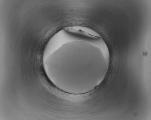 X0000110920031200907091508