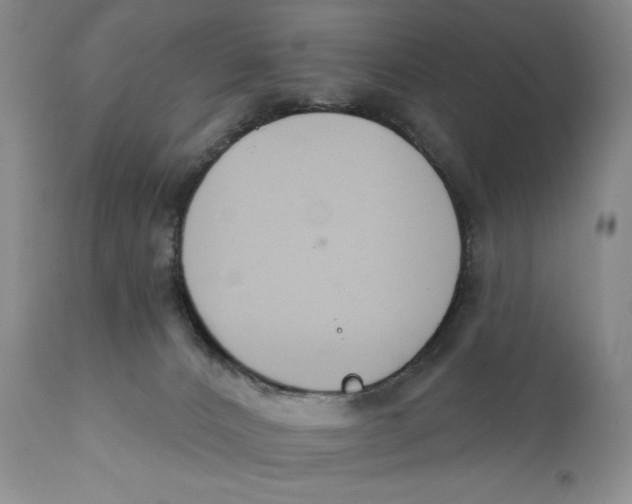 X0000110920032200907091508