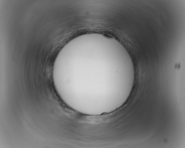 X0000110920033200907091508