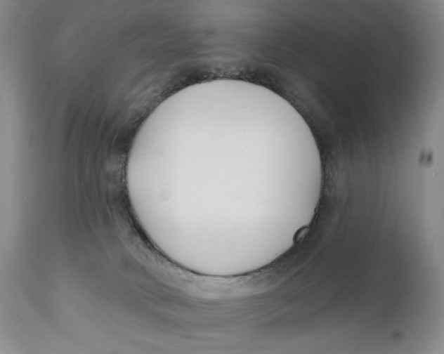 X0000110920034200907091508