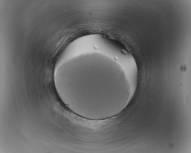 X0000110920035200907091508