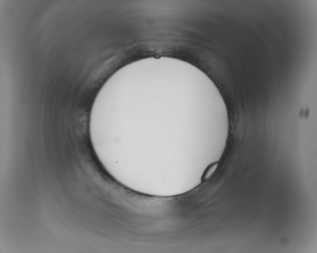 X0000110920036200907091508