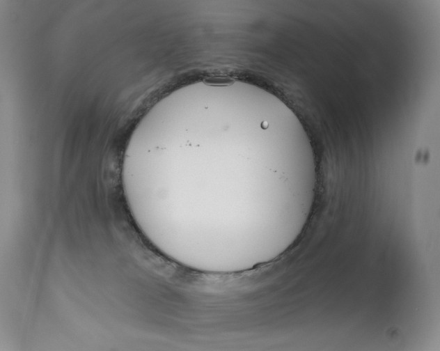 X0000110920037200907091508