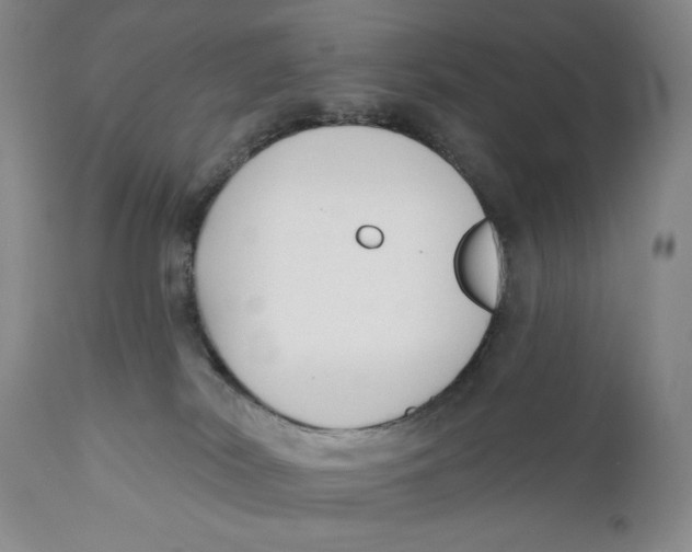 X0000110920038200907091508
