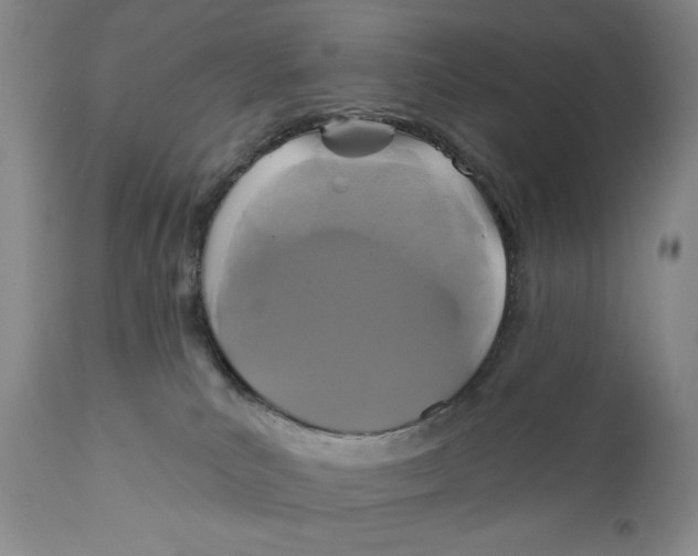 X0000110920039200907091508