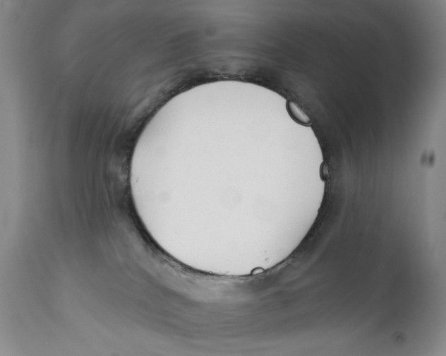 X0000110920040200907091508