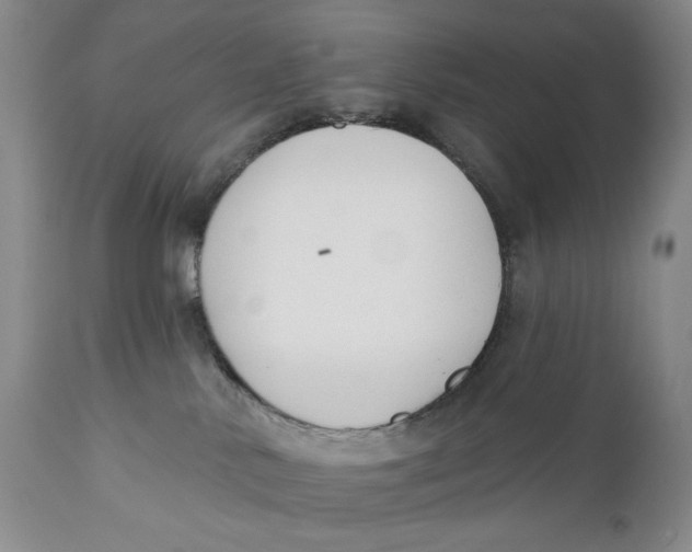 X0000110920042200907091508