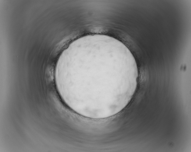 X0000110920043200907091508