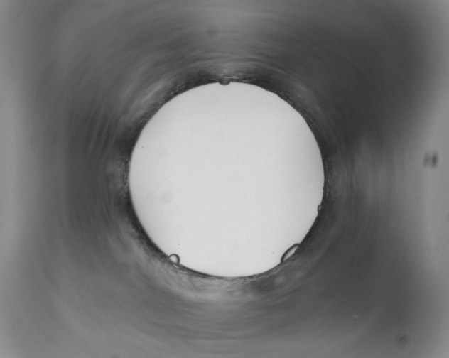X0000110920044200907091508