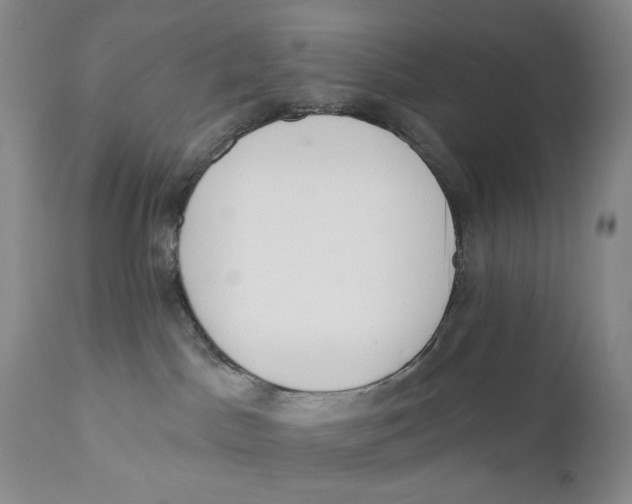 X0000110920045200907091508
