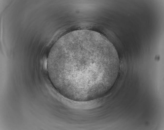 X0000110920046200907091508