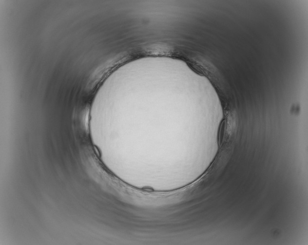 X0000110920047200907091508