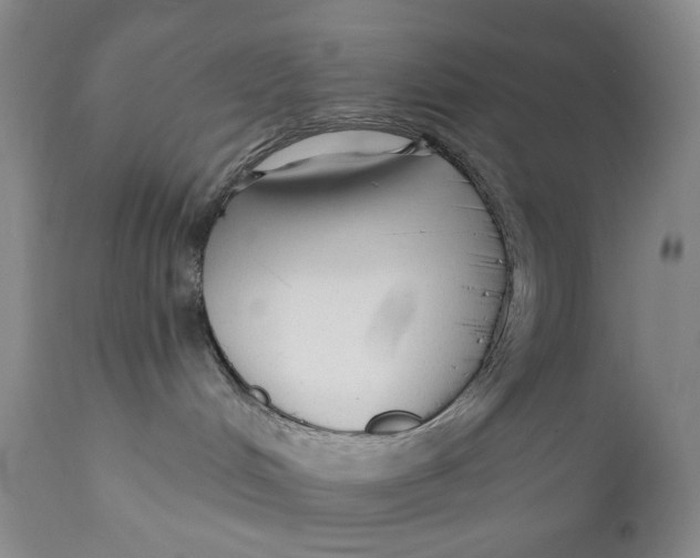X0000110920048200907091508