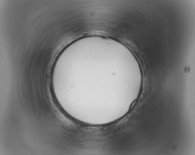 X0000110920049200907091507