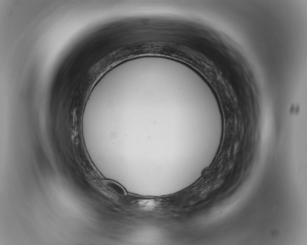 X0000110920050200907091507