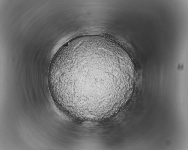 X0000110920051200907091507