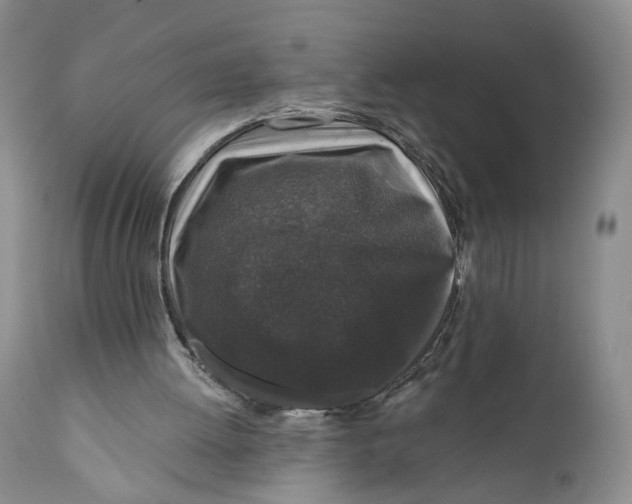 X0000110920052200907091507