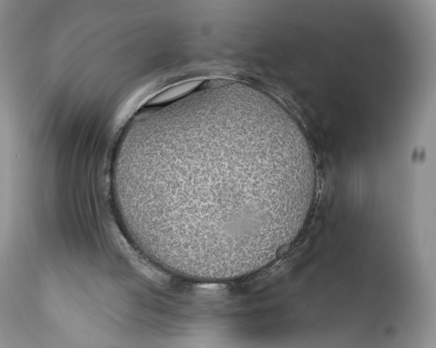 X0000110920053200907091507