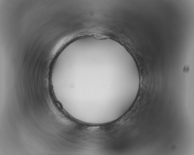 X0000110920054200907091507