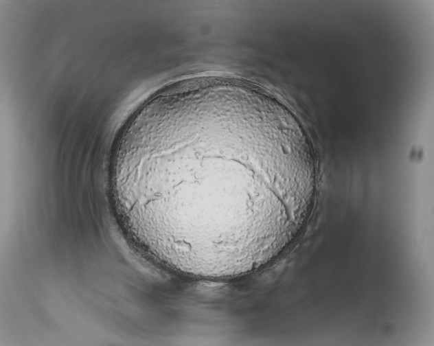 X0000110920055200907091507