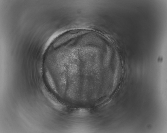 X0000110920056200907091507