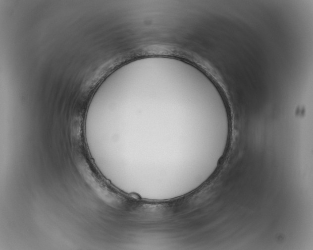 X0000110920057200907091507