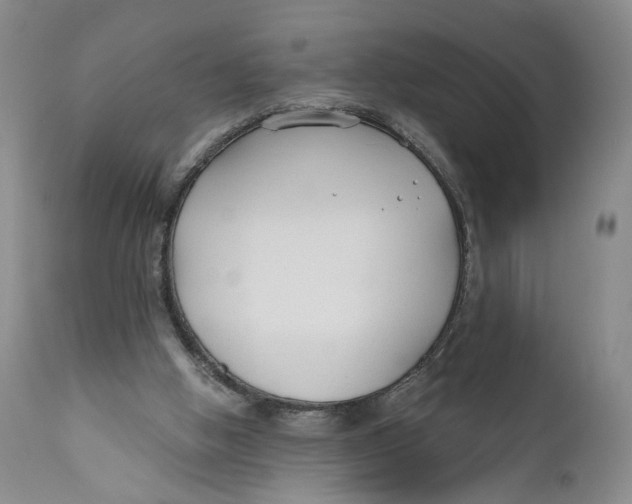 X0000110920058200907091507