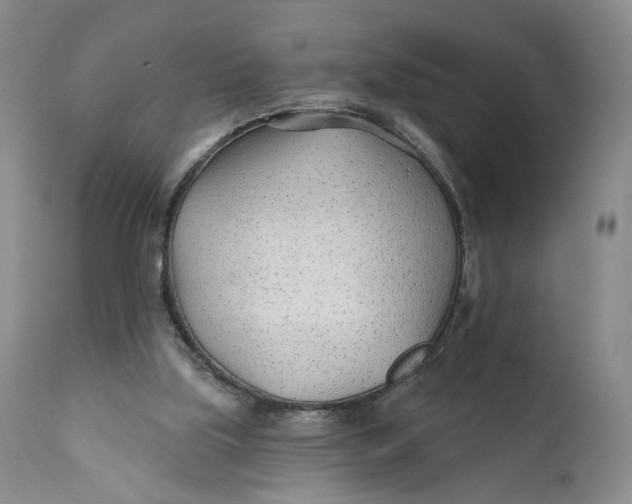 X0000110920059200907091507