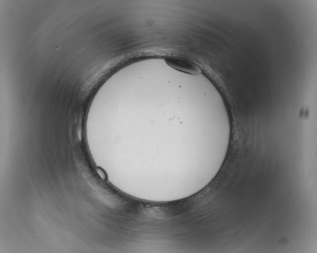 X0000110920062200907091507