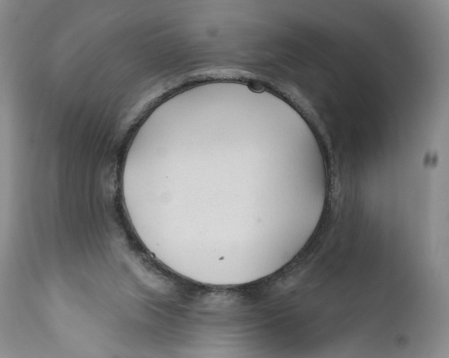 X0000110920063200907091507