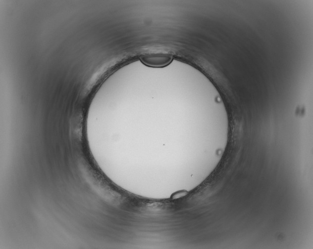 X0000110920064200907091507