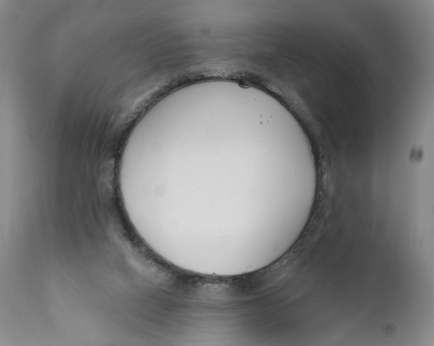 X0000110920066200907091507