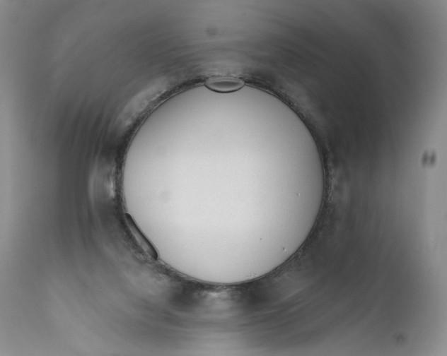 X0000110920068200907091507