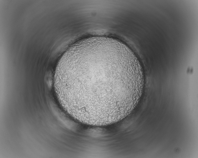 X0000110920069200907091507