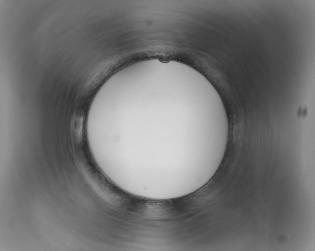 X0000110920070200907091507