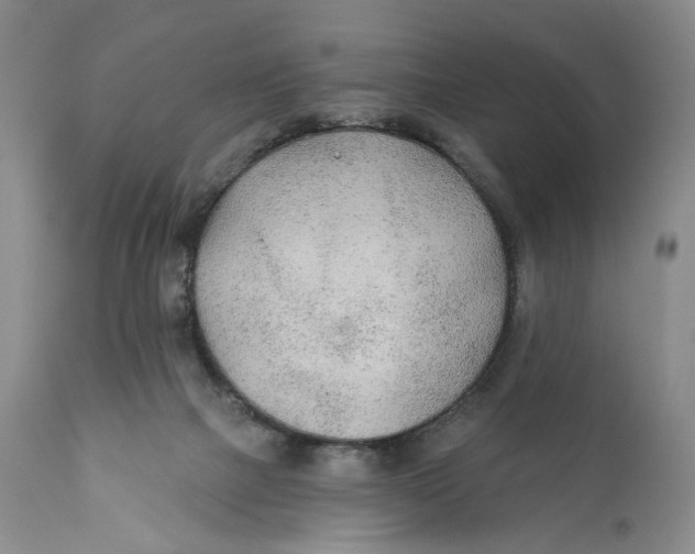 X0000110920073200907091507