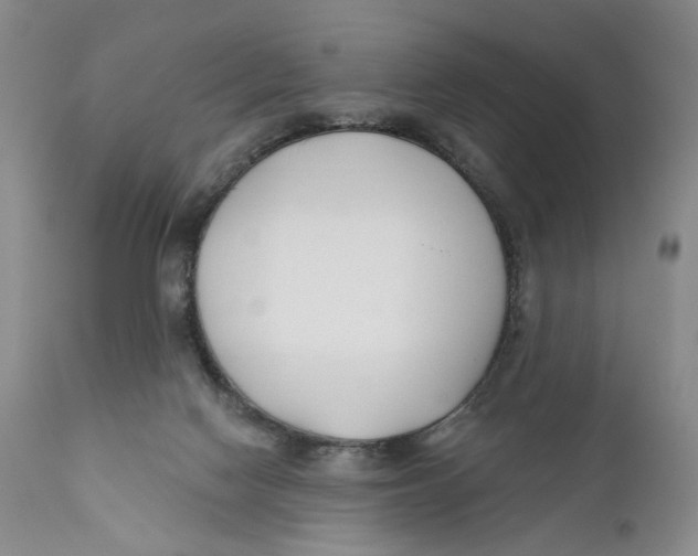 X0000110920074200907091507