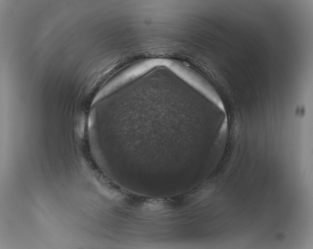 X0000110920076200907091507