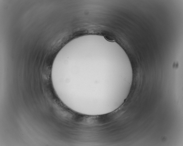X0000110920078200907091507