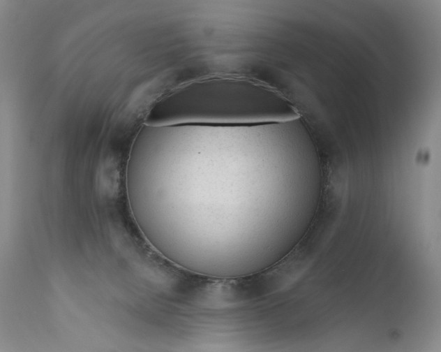 X0000110920080200907091507