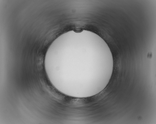 X0000110920082200907091507